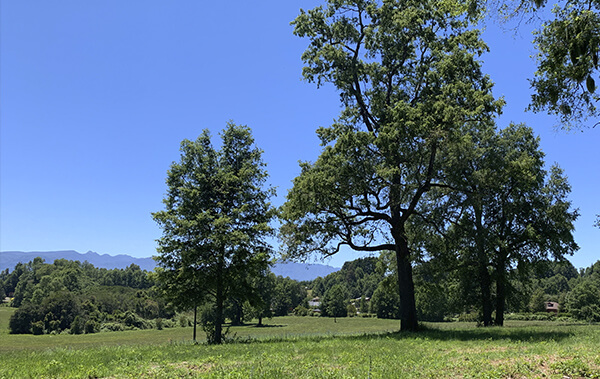 Featured image 1